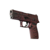 P250 | Contaminant (Well-Worn)