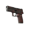P250 | Contaminant (Battle-Scarred)
