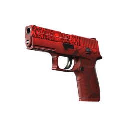 P250 | Muertos (Battle-Scarred)