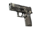 P250 - Ре.конструкция - 160x114