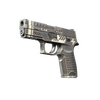 P250 | Re.built (Minimal Wear)