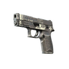 StatTrak™ P250 | Re.built (Field-Tested)