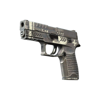 P250 | Re.built (Field-Tested)