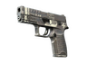 P250 | Re.built