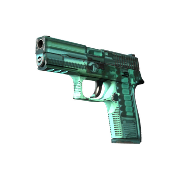 P250 | X-Ray (Field-Tested)