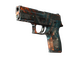 P250 | Supernova (Well-Worn)