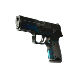 P250 | Valence (Battle-Scarred)