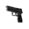 P250 | Cartel (Field-Tested)