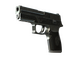 StatTrak™ P250 | Cartel (Battle-Scarred)