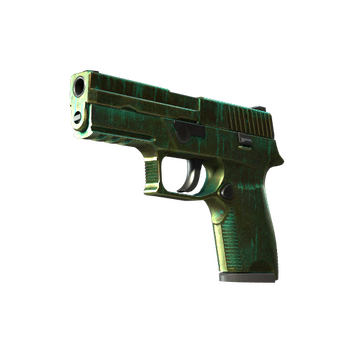 StatTrak™ P250 | Verdigris (Battle-Scarred)