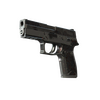 P250 | Dark Filigree (Battle-Scarred)