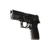 P250 | Dark Filigree (Field-Tested)