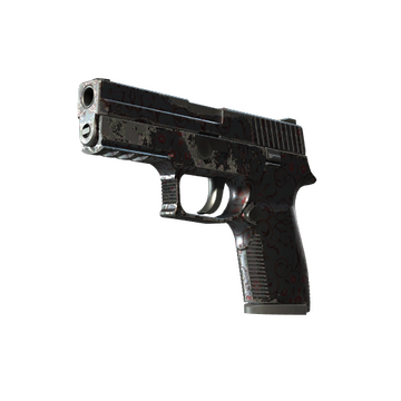 P250 | Dark Filigree (Well-Worn)