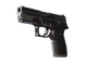 P250 | Dark Filigree (Well-Worn)