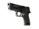 P250 | Metallic DDPAT (Factory New)