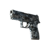 StatTrak™ P250 | Steel Disruption (Field-Tested)