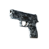 P250 | Steel Disruption (Minimal Wear)