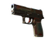 StatTrak™ P250 | Cyber Shell (Battle-Scarred)