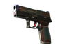 P250 | Cyber Shell