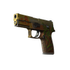StatTrak™ P250 | Inferno (Battle-Scarred)