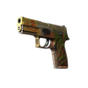 P250 | Inferno (Well-Worn)