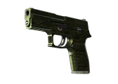 P250 - Железное покрытие - 160x114