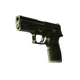 P250 | Iron Clad (Field-Tested)