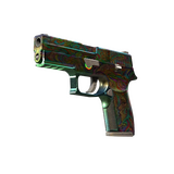 P250 | Visions (Battle-Scarred)