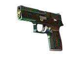 P250 - Видения - 160x114