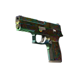 P250 | Visions (Battle-Scarred)