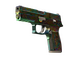 P250 | Visions (Battle-Scarred)