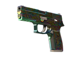 P250 - Видения - 160x114