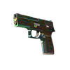 P250 | Visions (Well-Worn)