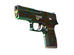 StatTrak™ P250 | Visionsy