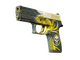 StatTrak™ P250 | Wingshot (Battle-Scarred)