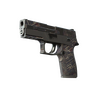P250 | Facility Draft (Battle-Scarred)