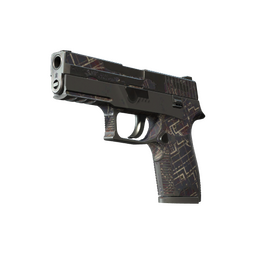 P250 | Facility Draft (Battle-Scarred)
