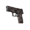 P250 | Facility Draft (Field-Tested)