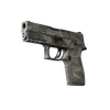 P250 | Facets (Well-Worn)