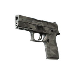P250 | Facets (Field-Tested)