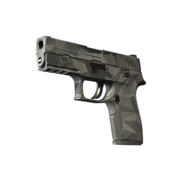 P250 | Facets (Well-Worn)