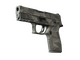 P250 | Facets (Field-Tested)