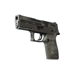 P250 | Facets (Battle-Scarred)