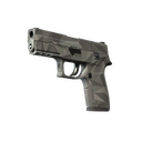 P250 | Facets