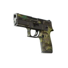 P250 | Boreal Forest (Battle-Scarred)