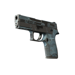 P250 | Forest Night (Battle-Scarred)