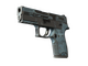 P250 | Forest Night (Battle-Scarred)