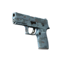 P250 | Forest Night