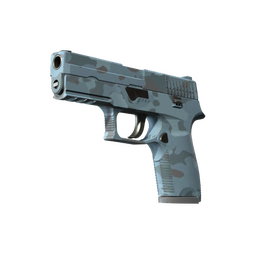P250 | Forest Night (Factory New)