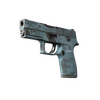 P250 | Forest Night (Field-Tested)